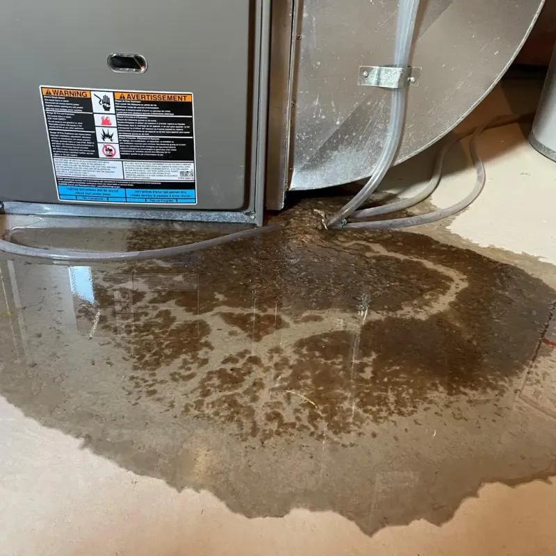 Appliance Leak Cleanup in Lowell, AR