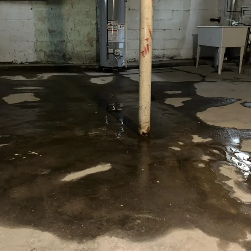 Emergency Water Extraction And Removal in Lowell, AR
